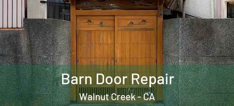 Barn Door Repair Walnut Creek - CA