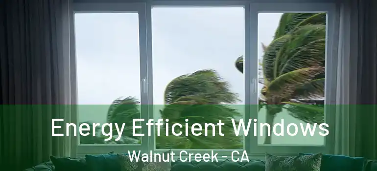 Energy Efficient Windows Walnut Creek - CA