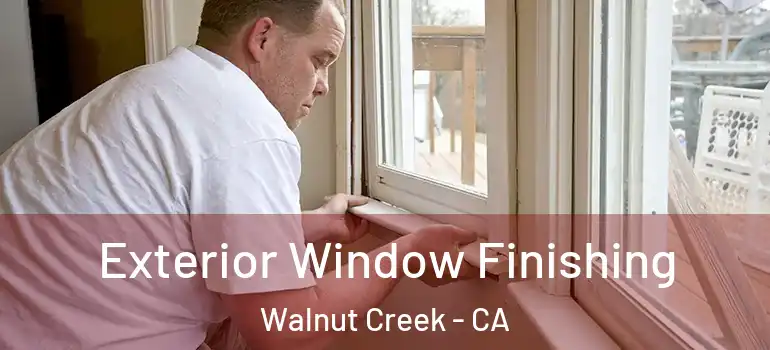  Exterior Window Finishing Walnut Creek - CA