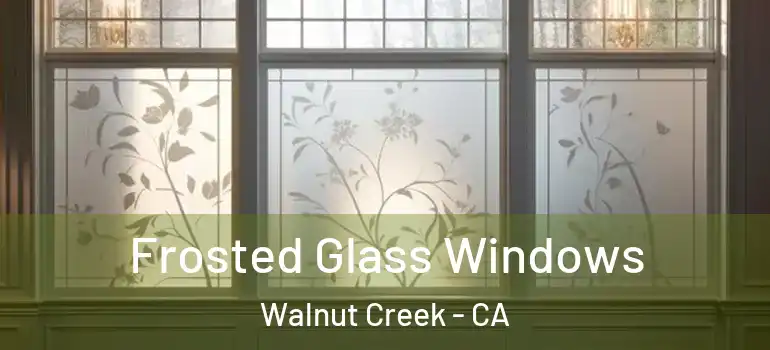  Frosted Glass Windows Walnut Creek - CA
