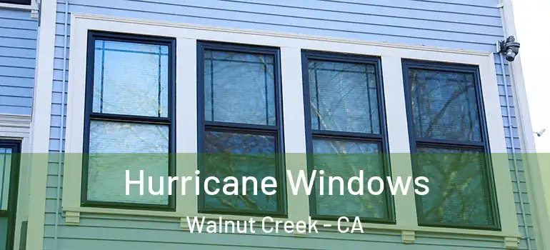  Hurricane Windows Walnut Creek - CA