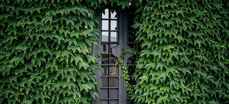 Garden Gate Repair in Walnut Creek, CA