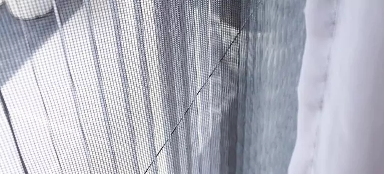 Fixing Screen Window Mesh in Walnut Creek, CA