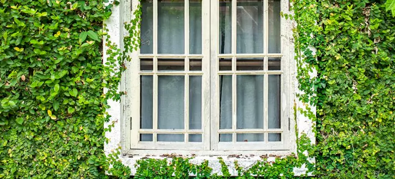 Garden Window Repair Near Me in Walnut Creek, CA