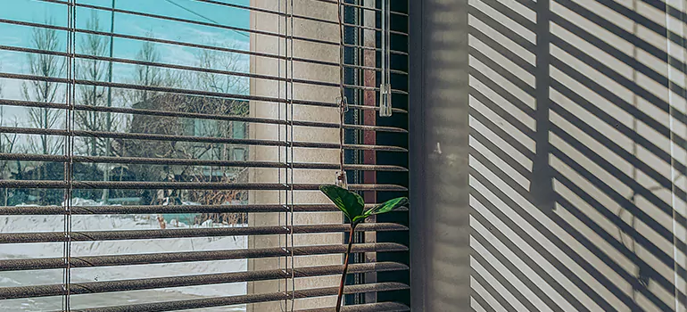 Commercial Window Blinds in Walnut Creek, CA