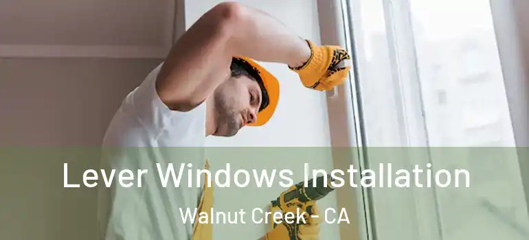  Lever Windows Installation Walnut Creek - CA