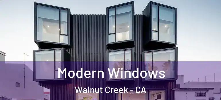  Modern Windows Walnut Creek - CA
