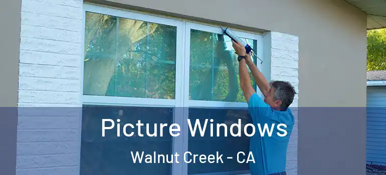  Picture Windows Walnut Creek - CA