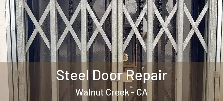  Steel Door Repair Walnut Creek - CA