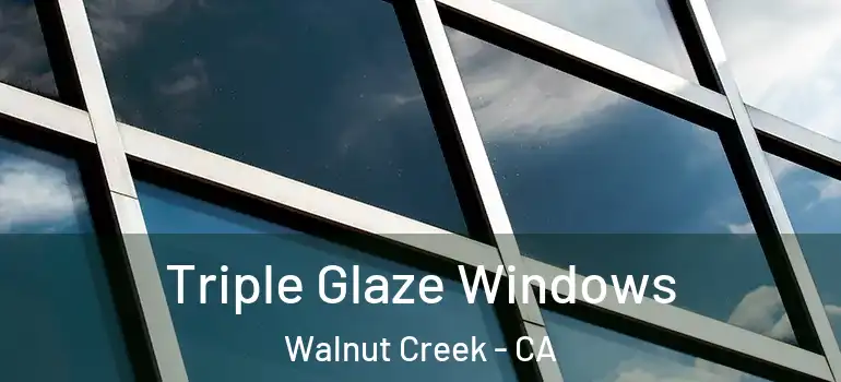  Triple Glaze Windows Walnut Creek - CA