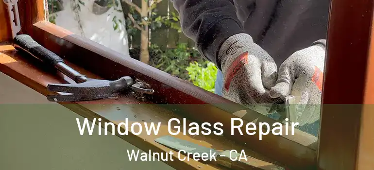  Window Glass Repair Walnut Creek - CA