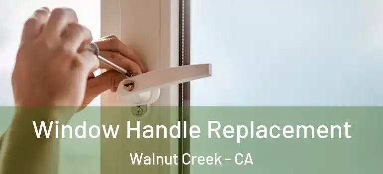  Window Handle Replacement Walnut Creek - CA