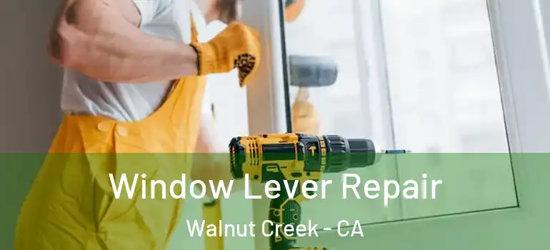  Window Lever Repair Walnut Creek - CA
