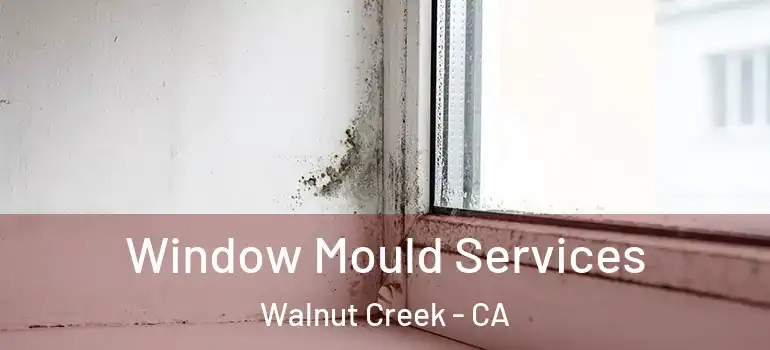  Window Mould Services Walnut Creek - CA
