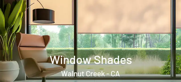  Window Shades Walnut Creek - CA