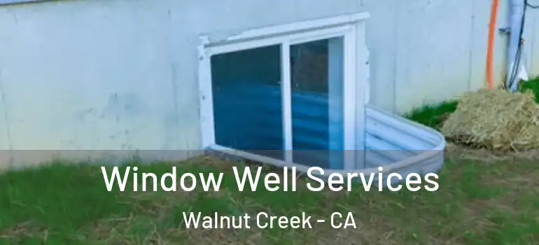  Window Well Services Walnut Creek - CA